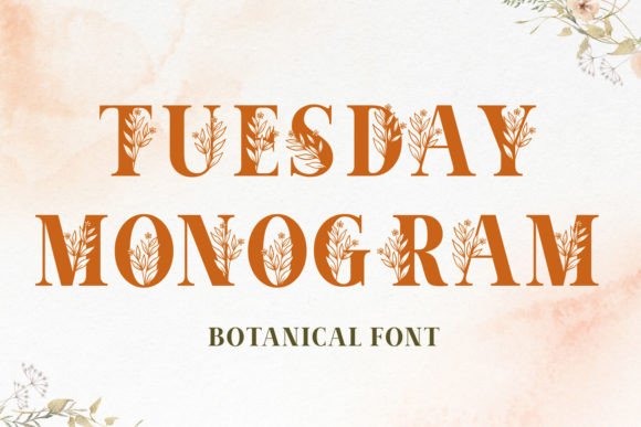 How Tuesday Monogram Elevated My Brand’s Visual Identity