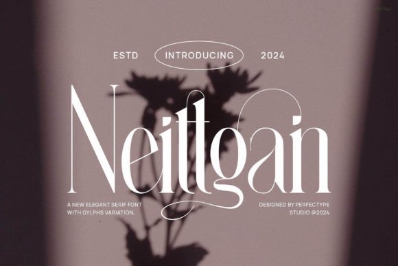 Neittgan Serif Font Review for Real Projects